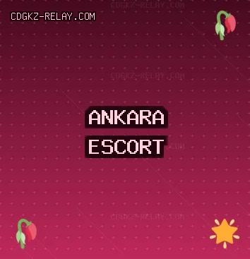 Ankara Escort: Polatlı Escort, Etimesgut Escort, Mamak Escort